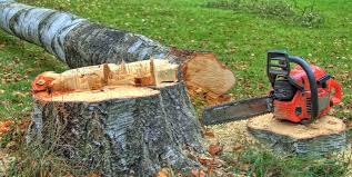 Best Commercial Tree Services  in Shell Lake, WI