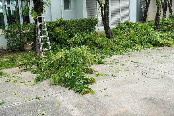Best Utility Line Clearance  in Shell Lake, WI