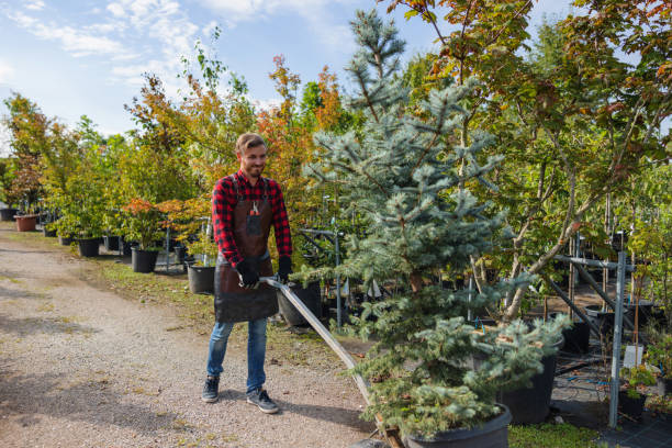 Best Lawn Watering Services  in Shell Lake, WI