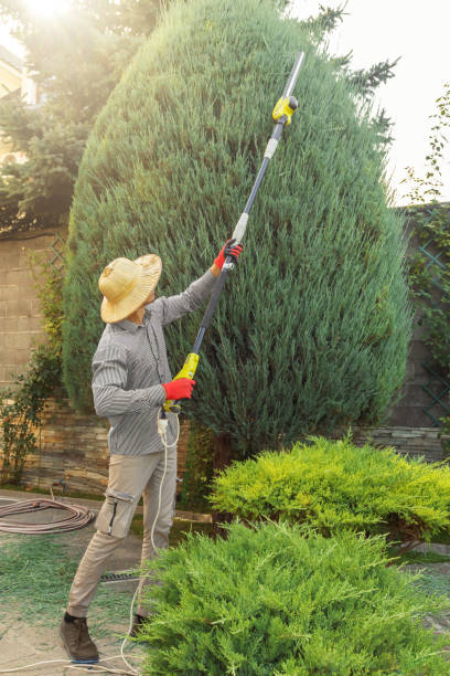 Best Lawn Pest Prevention  in Shell Lake, WI